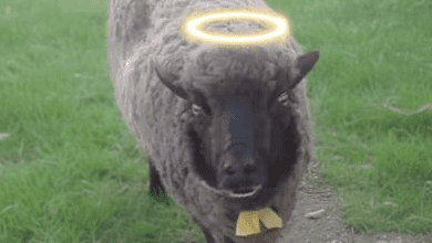 Gemini Generated Image cic5ufcic5ufcic5 1 - Diario Resumen de la región