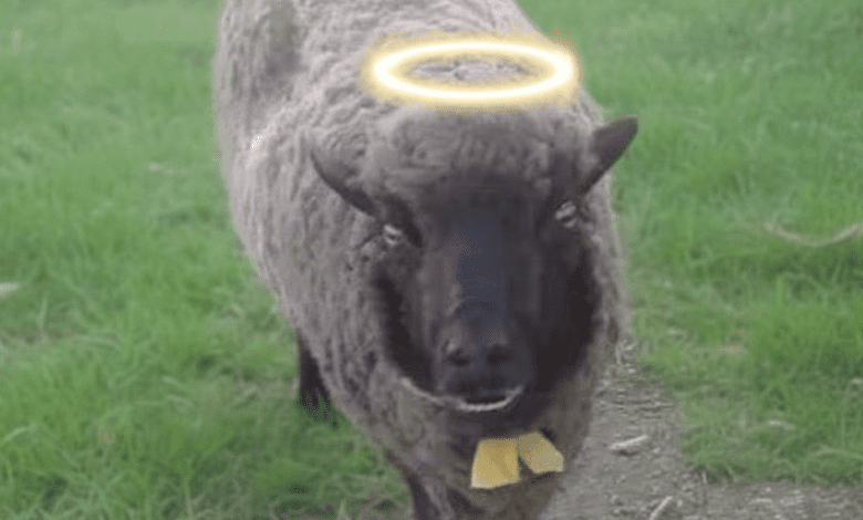 Gemini Generated Image cic5ufcic5ufcic5 1 - Diario Resumen de la región