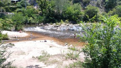 IMG 20260101 WA01181 - Diario Resumen de la región