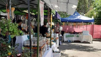 WhatsApp Image 2026 01 07 at 10.57.40 AM 1 - Diario Resumen de la región