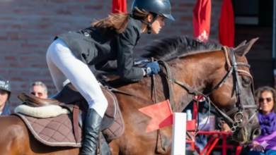 Gemini Generated Image otpvwbotpvwbotpv - Diario Resumen de la región