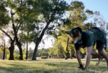 Screenshot 20260212 1049062 - Diario Resumen de la región