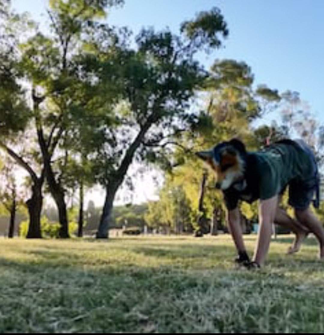Screenshot 20260212 1049062 - Diario Resumen de la región