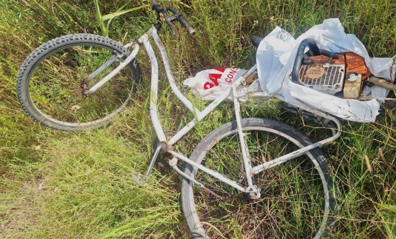 WhatsApp Image 2026 02 19 at 10.40.12 AM - Diario Resumen de la región