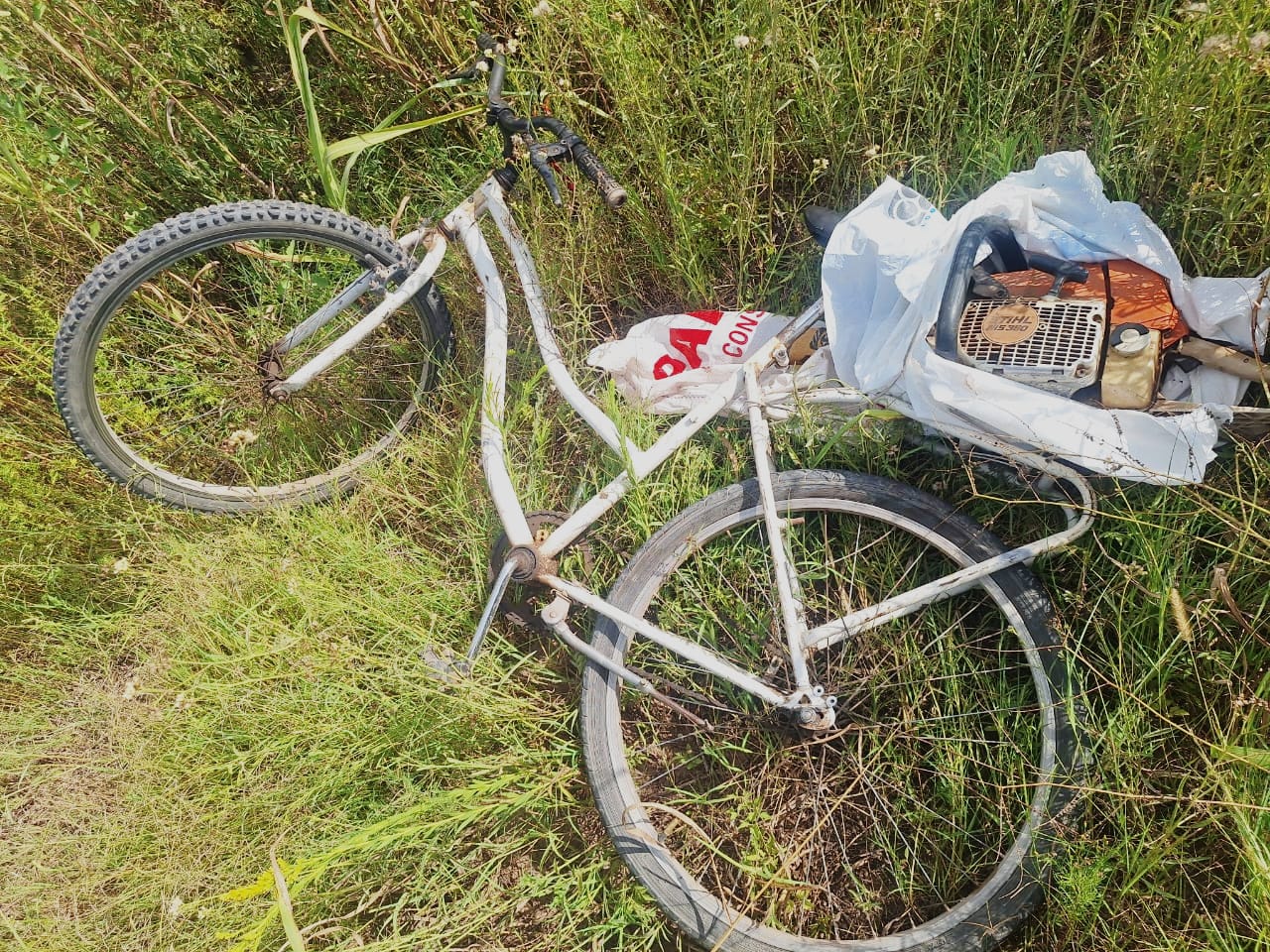 WhatsApp Image 2026 02 19 at 10.40.12 AM - Diario Resumen de la región