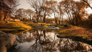 Gemini Generated Image 9kms5y9kms5y9kms - Diario Resumen de la región