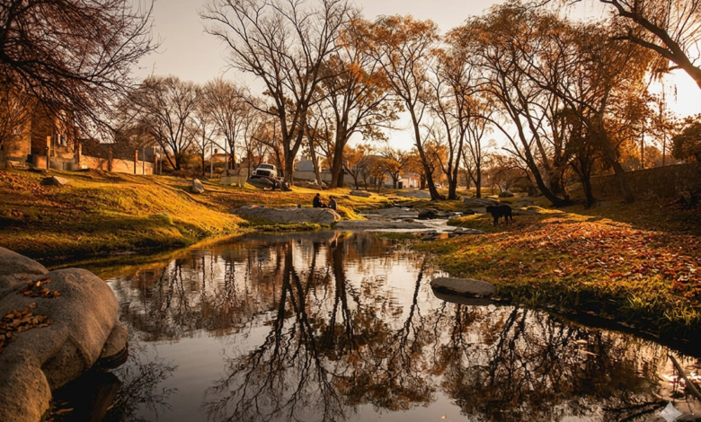 Gemini Generated Image 9kms5y9kms5y9kms - Diario Resumen de la región