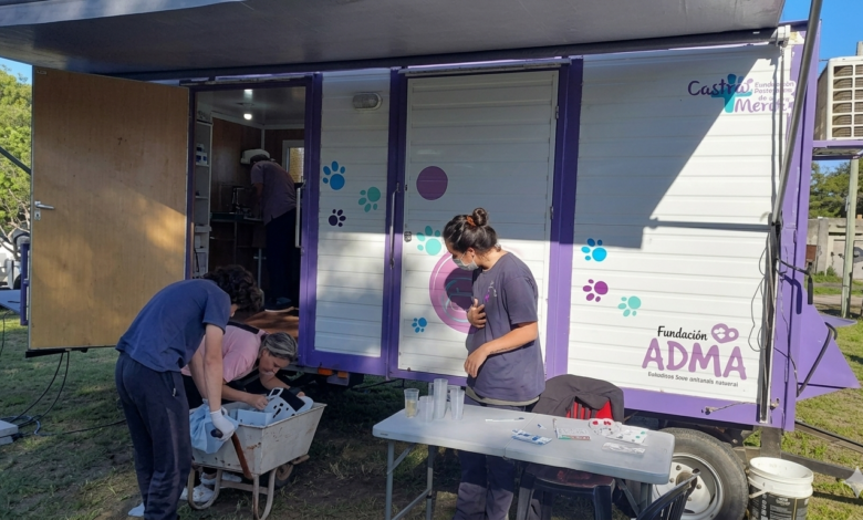 Gemini Generated Image iu9hcniu9hcniu9h - Diario Resumen de la región