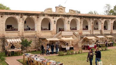 Gemini Generated Image k27aoik27aoik27a - Diario Resumen de la región