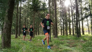 Gemini Generated Image pwx3zpwx3zpwx3zp - Diario Resumen de la región