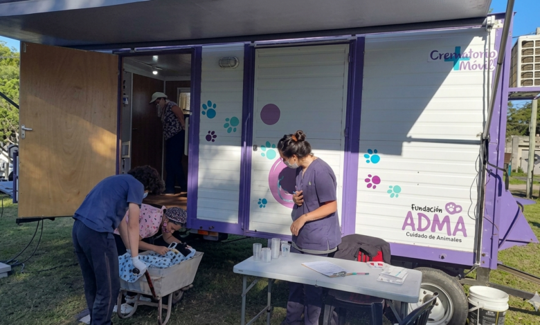 Gemini Generated Image tsn5outsn5outsn5 - Diario Resumen de la región