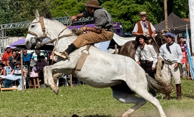 Gemini Generated Image u62q8vu62q8vu62q e1774029766779 - Diario Resumen de la región