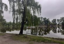 IMG 20260308 WA0015 - Diario Resumen de la región