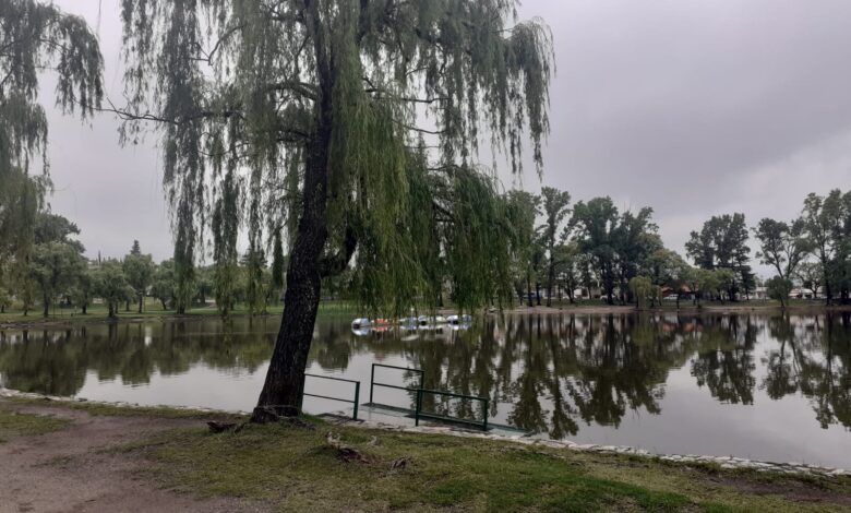 IMG 20260308 WA0015 - Diario Resumen de la región