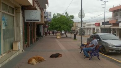 IMG 20260314 WA0016 - Diario Resumen de la región