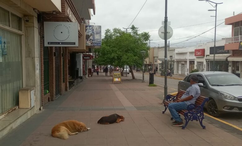 IMG 20260314 WA0016 - Diario Resumen de la región