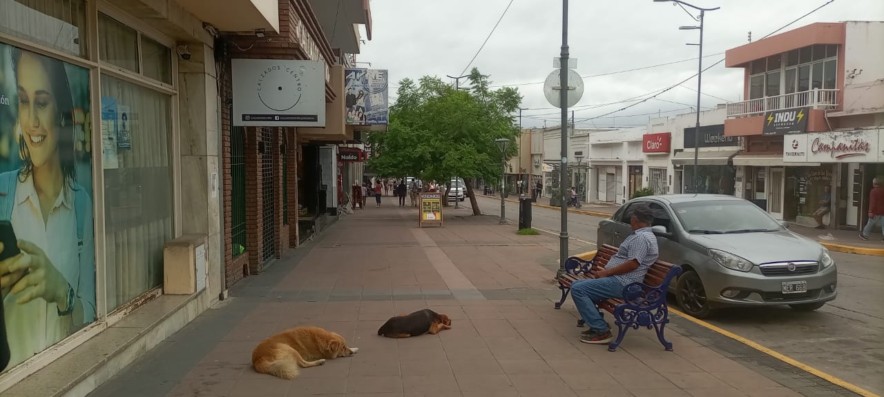 IMG 20260314 WA0016 - Diario Resumen de la región