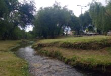 IMG 20260317 WA0006 - Diario Resumen de la región