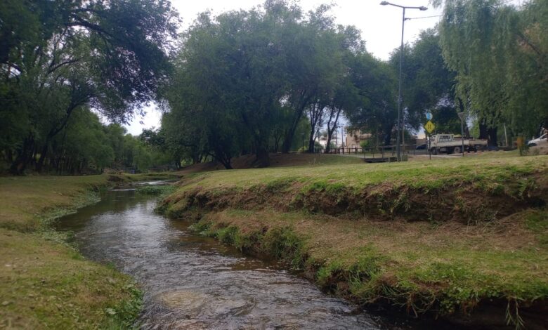 IMG 20260317 WA0006 - Diario Resumen de la región