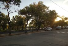 IMG 20260325 075504307 - Diario Resumen de la región