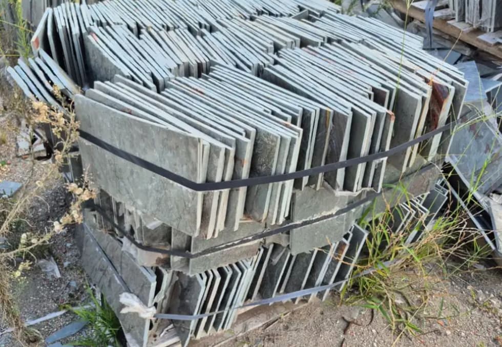 - Diario Resumen de la región