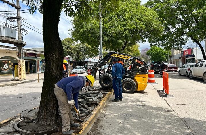 10 2 - Diario Resumen de la región