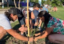 869e65a7 04f3 4139 8f0b 13b24dd3e20c e1777047157289 - Diario Resumen de la región