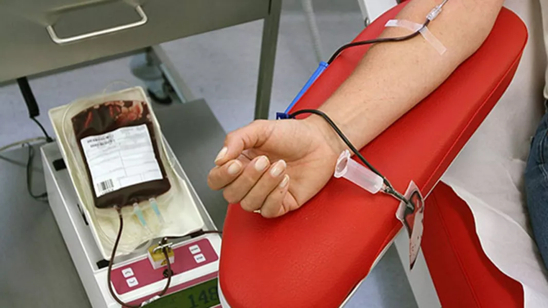 99504 convocan a donar sangre 0 rh positivo y negativo en el centro regional de hemoterapia - Diario Resumen de la región