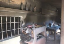 IMG 20260411 WA0074 - Diario Resumen de la región