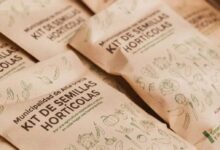 WhatsApp Image 2026 04 06 at 11.07.22 AM - Diario Resumen de la región