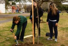 WhatsApp Image 2026 04 14 at 10.25.42 AM e1776173224152 - Diario Resumen de la región