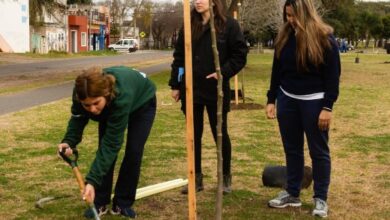 WhatsApp Image 2026 04 14 at 10.25.42 AM e1776173224152 - Diario Resumen de la región