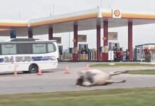 WhatsApp Image 2026 04 19 at 10.22.15 PM - Diario Resumen de la región