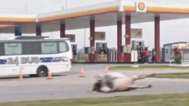 WhatsApp Image 2026 04 19 at 10.22.15 PM - Diario Resumen de la región