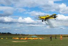 ef969830 b0f9 4735 98b3 1539439c3c72 - Diario Resumen de la región