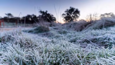 frio en cordoba R5TC3RKYBZFPPDZ7P3NRH2JN4E - Diario Resumen de la región